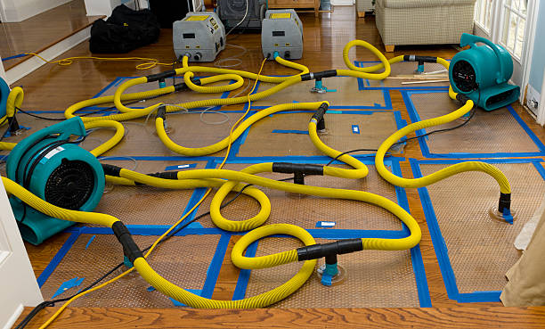 Professional Crawl Space Water Removal technician working in Stoddard, NH